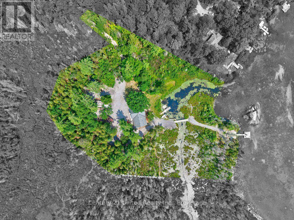 38 Fire Route 37, North Kawartha, Ontario  K0L 3E0 - Photo 45 - X13662580