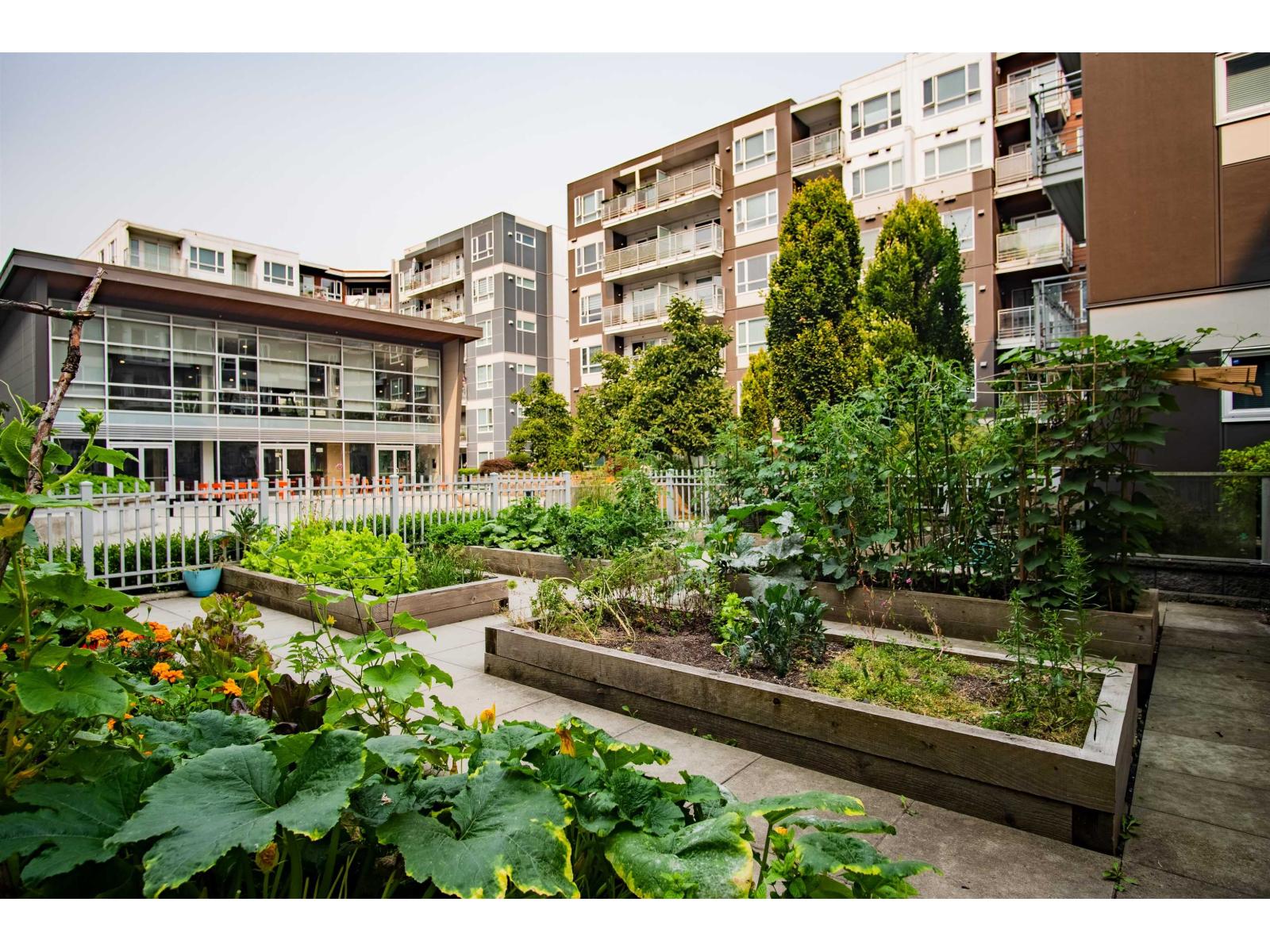 218 13963 105 Boulevard, Surrey, British Columbia  V3T 0M9 - Photo 18 - R3154580
