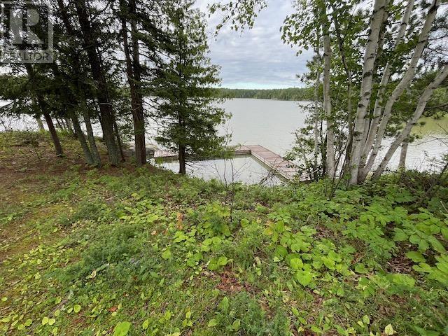 699 Coombes Dr, Dryden, Ontario  P8N 2Y5 - Photo 25 - TB2600850