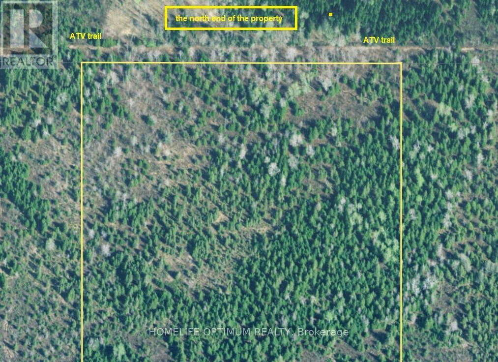 72.64 Acres In Haggart Township - Pcl 3841, Smooth Rock Falls, Ontario  P4R 0C7 - Photo 3 - T13662816