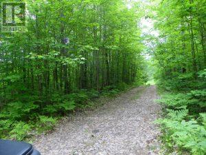 50 Acres In Muskoka North Of Bala - Pcl 31045, Muskoka Lakes, Ontario P0C 1A0 - Photo 1 - X13662728