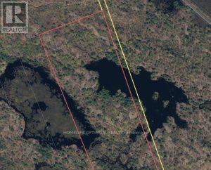 50 Acres In Muskoka North Of Bala - Pcl 31045, Muskoka Lakes, Ontario P0C 1A0 - Photo 12 - X13662728