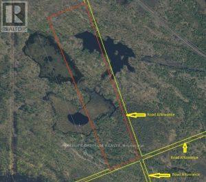50 Acres In Muskoka North Of Bala - Pcl 31045, Muskoka Lakes, Ontario P0C 1A0 - Photo 13 - X13662728