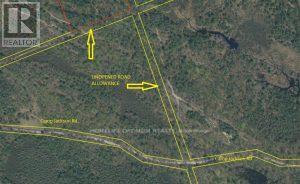 50 Acres In Muskoka North Of Bala - Pcl 31045, Muskoka Lakes, Ontario P0C 1A0 - Photo 14 - X13662728