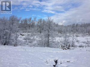 50 Acres In Muskoka North Of Bala - Pcl 31045, Muskoka Lakes, Ontario P0C 1A0 - Photo 22 - X13662728