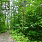 50 Acres In Muskoka North Of Bala - Pcl 31045, Muskoka Lakes, Ontario P0C 1A0 - Photo 3 - X13662728