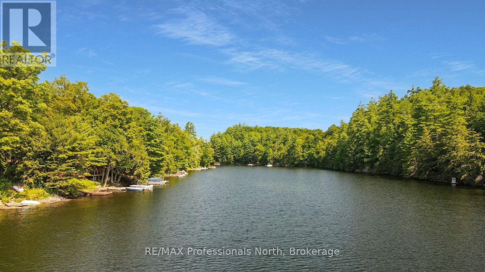 1326 Bob Lake Road, Minden Hills, Ontario  K0M 2K0 - Photo 41 - X13662832