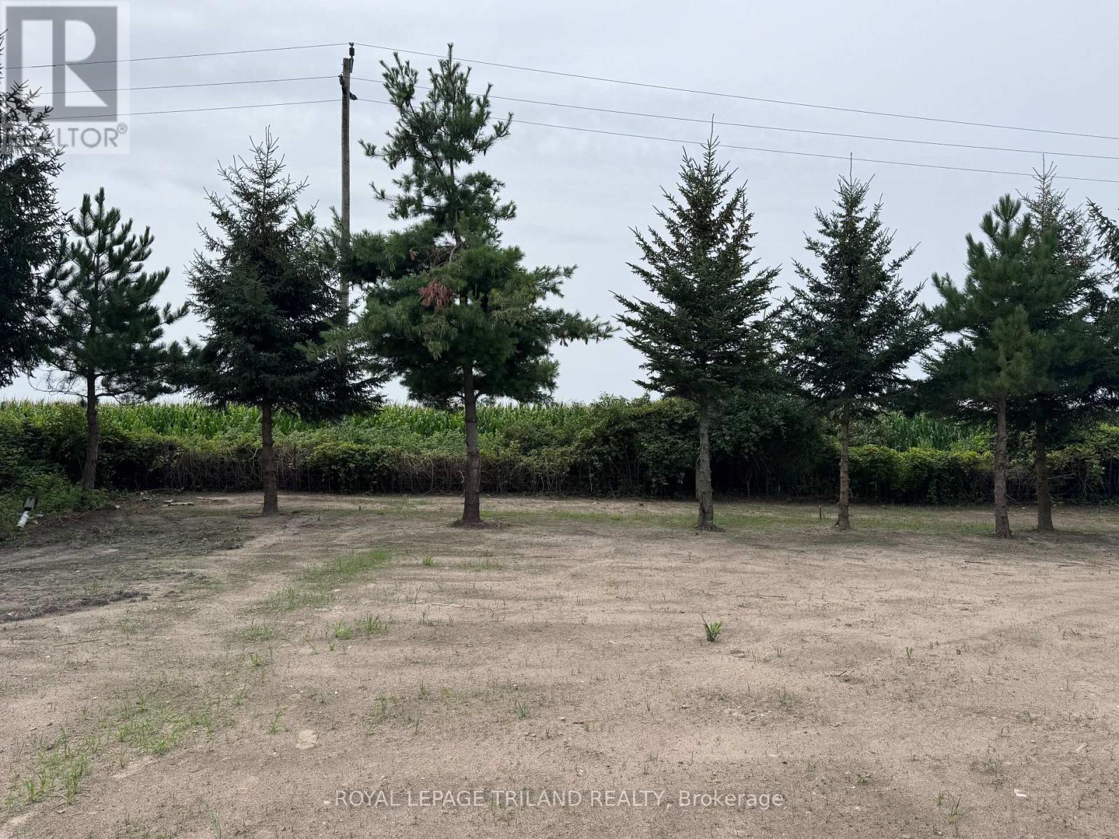 111 Styles Drive, St. Thomas, Ontario  N5R 0N8 - Photo 17 - X12641822