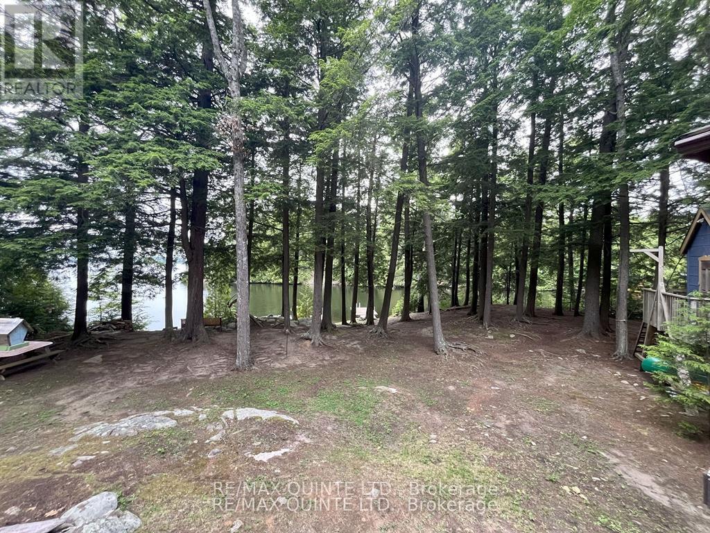 1549 Gull Lake Lane, Frontenac, Ontario  K0H 1B0 - Photo 27 - X13150268