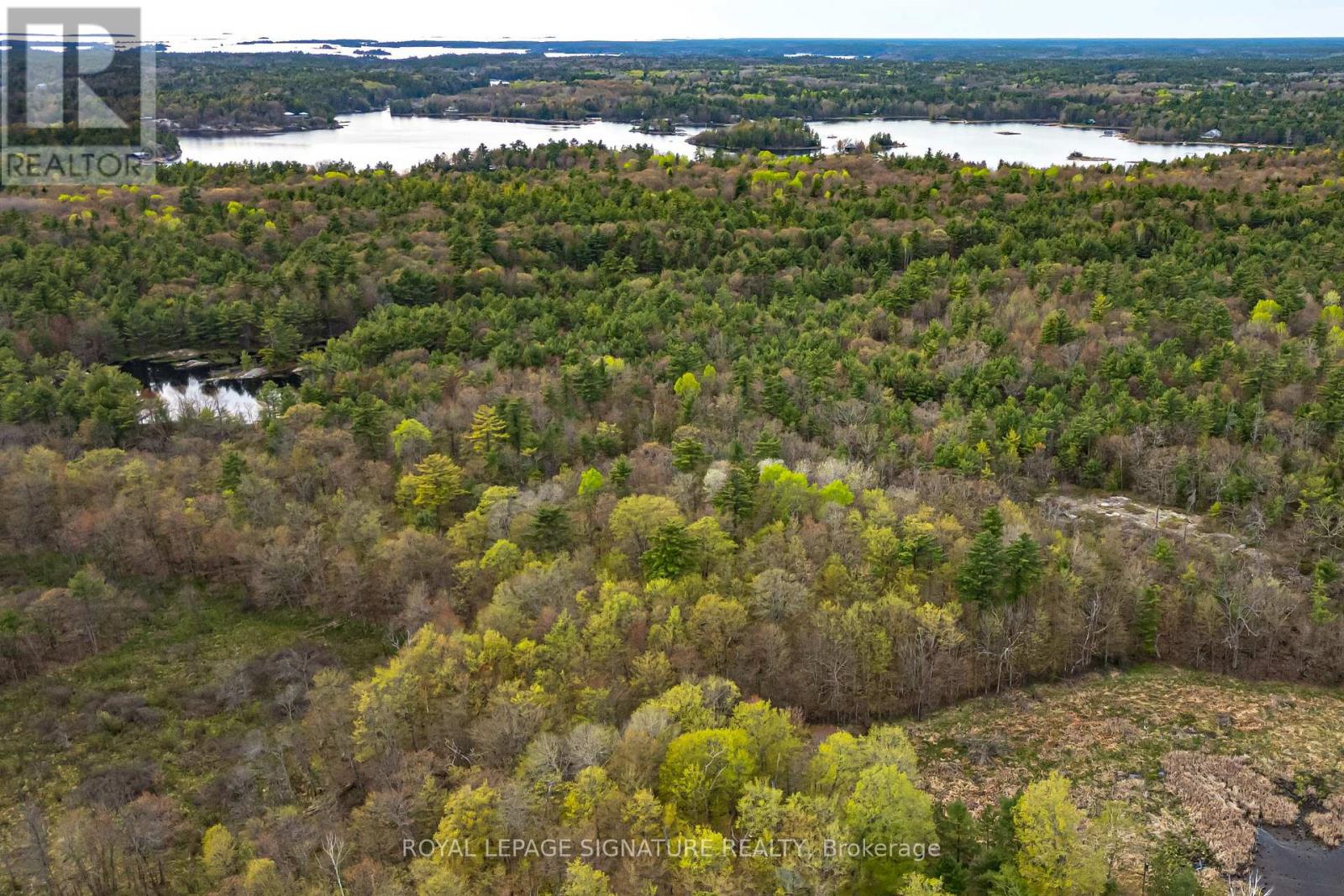 9316 Georgian Bay Shore Road, Georgian Bay, Ontario P0E 1E0 - Photo 6 - X13659582