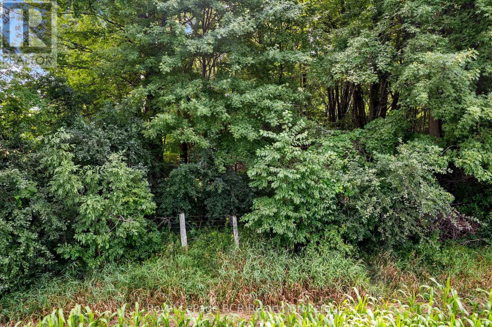 Part Lot 25 4 Concession, Meaford, Ontario  N0H 1B0 - Photo 18 - X13662984