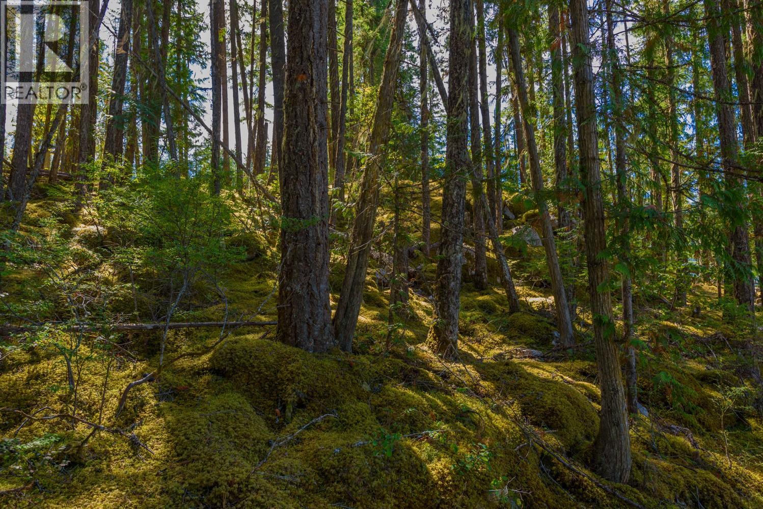 Lot A & Lot 6 Anstey Arm, Sicamous, British Columbia  V0E 2V0 - Photo 7 - 10397486