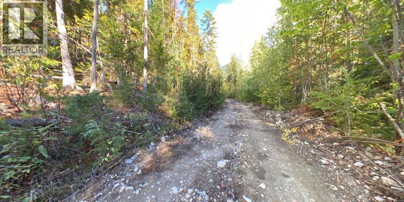 Lot A & Lot 6 Anstey Arm, Sicamous, British Columbia  V0E 2V0 - Photo 30 - 10397486