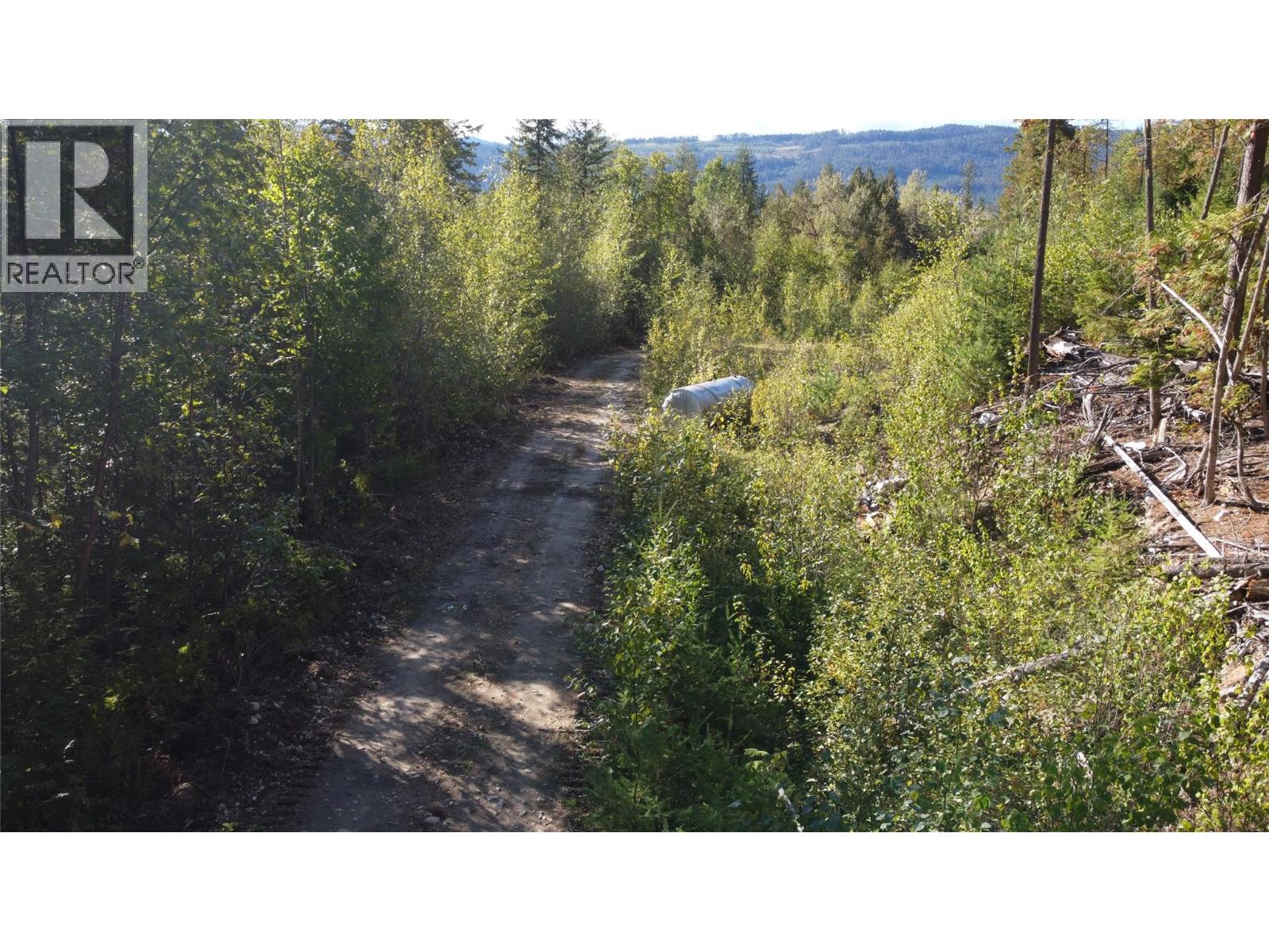 Lot A & Lot 6 Anstey Arm, Sicamous, British Columbia  V0E 2V0 - Photo 23 - 10397486