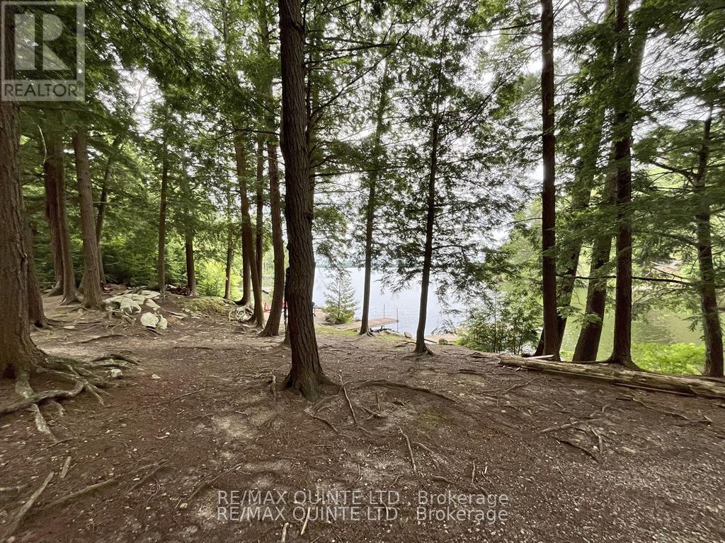 1549 Gull Lake Lane, Frontenac, Ontario  K0H 1B0 - Photo 29 - X13150268