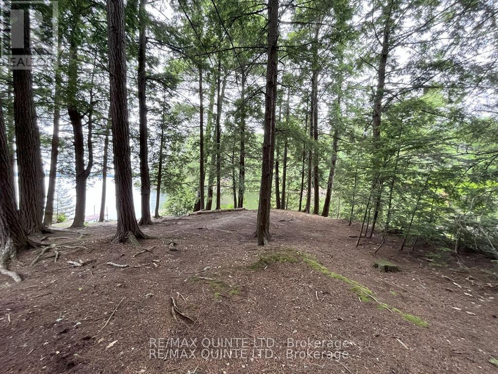 1549 Gull Lake Lane, Frontenac, Ontario  K0H 1B0 - Photo 34 - X13150268