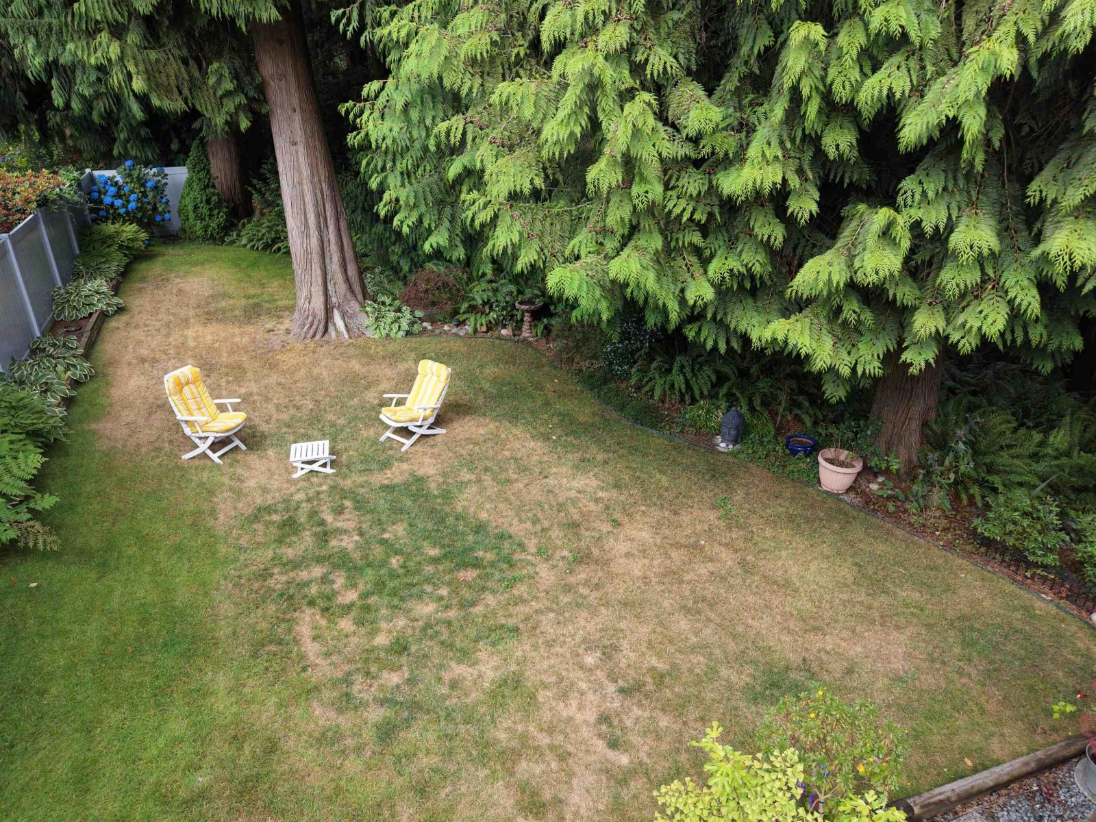 picture 38
