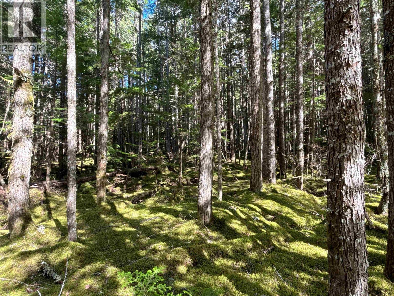 4962 Merkley Road, Terrace, British Columbia  V8G 0B5 - Photo 11 - R3154739