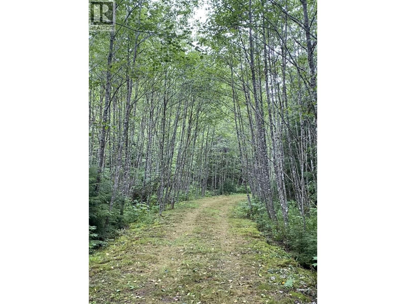 4962 Merkley Road, Terrace, British Columbia  V8G 0B5 - Photo 12 - R3154739