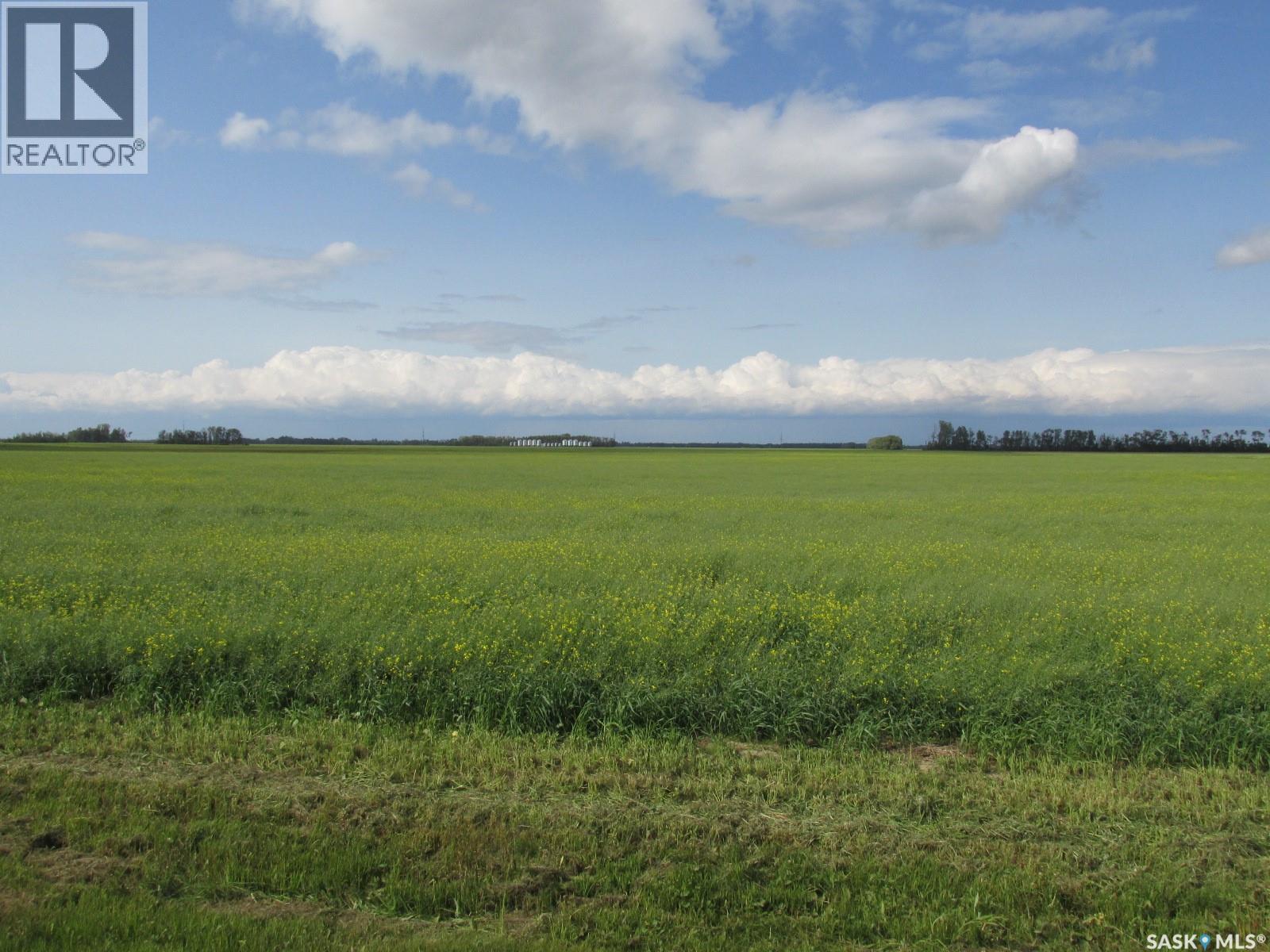Land East Of Nipawin, Nipawin Rm No. 487, Saskatchewan  S0E 1E0 - Photo 3 - SK044687