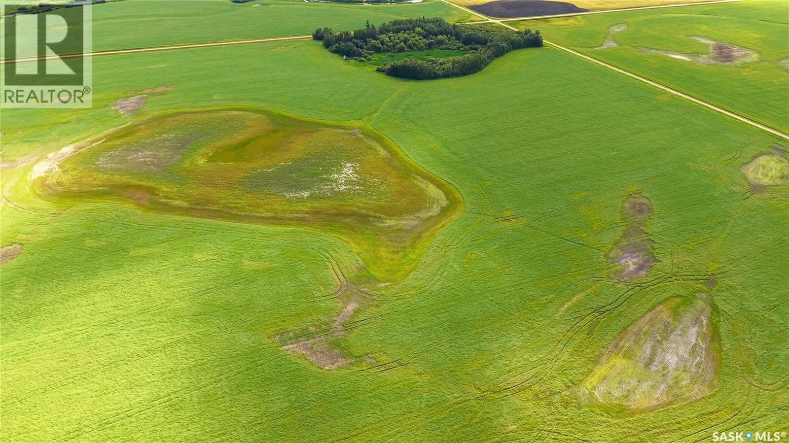Land East Of Nipawin, Nipawin Rm No. 487, Saskatchewan  S0E 1E0 - Photo 11 - SK044687