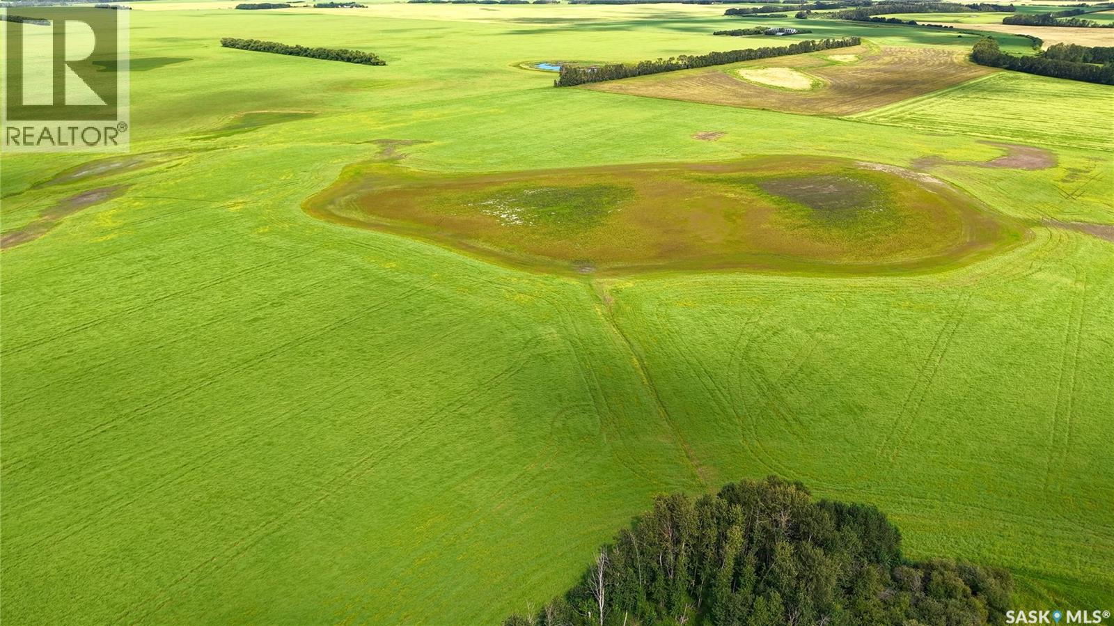 Land East Of Nipawin, Nipawin Rm No. 487, Saskatchewan  S0E 1E0 - Photo 14 - SK044687