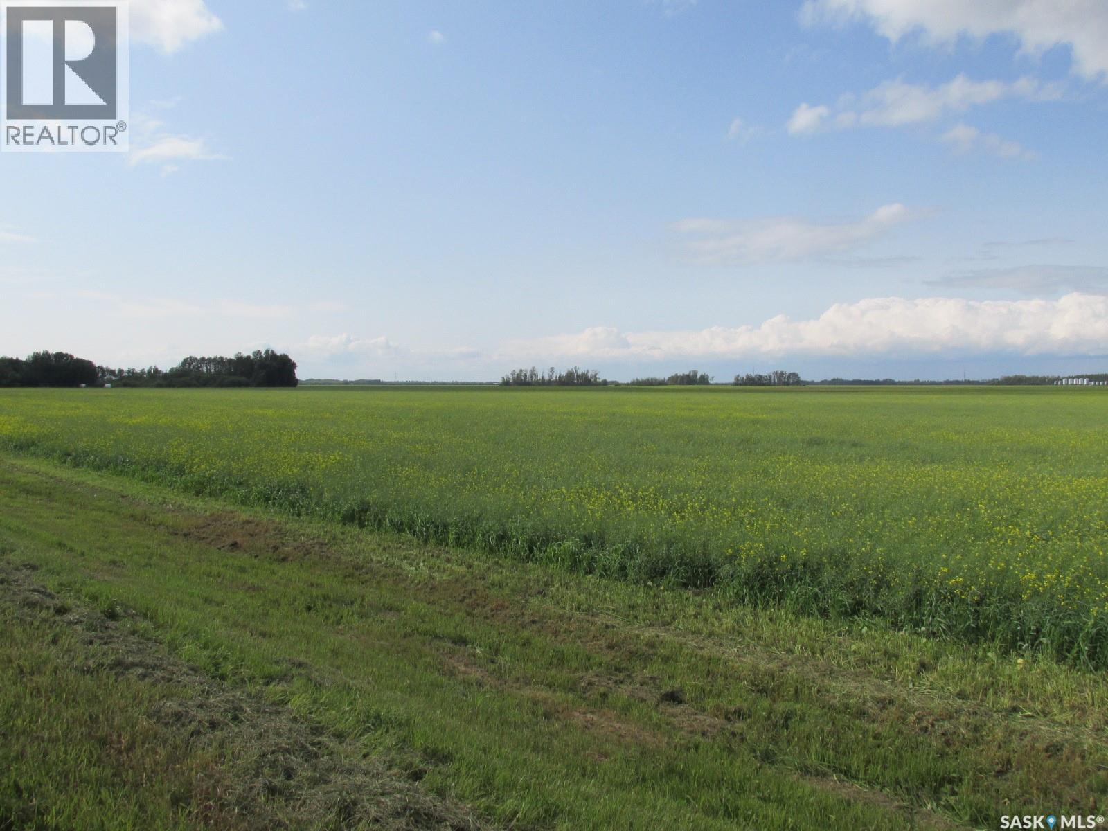 Land East Of Nipawin, Nipawin Rm No. 487, Saskatchewan  S0E 1E0 - Photo 4 - SK044687