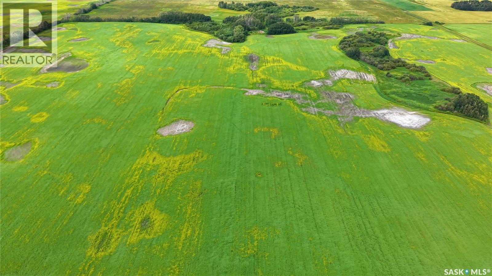 Land East Of Nipawin, Nipawin Rm No. 487, Saskatchewan  S0E 1E0 - Photo 34 - SK044687