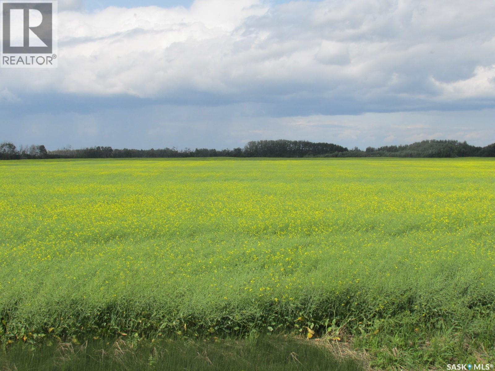 Land East Of Nipawin, Nipawin Rm No. 487, Saskatchewan  S0E 1E0 - Photo 21 - SK044687