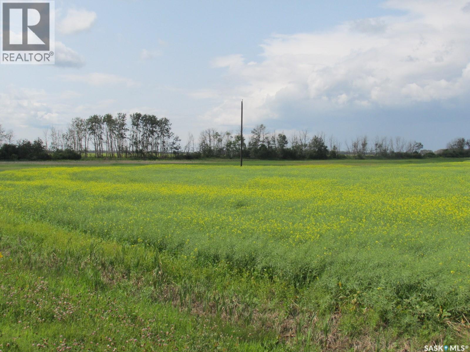Land East Of Nipawin, Nipawin Rm No. 487, Saskatchewan  S0E 1E0 - Photo 22 - SK044687