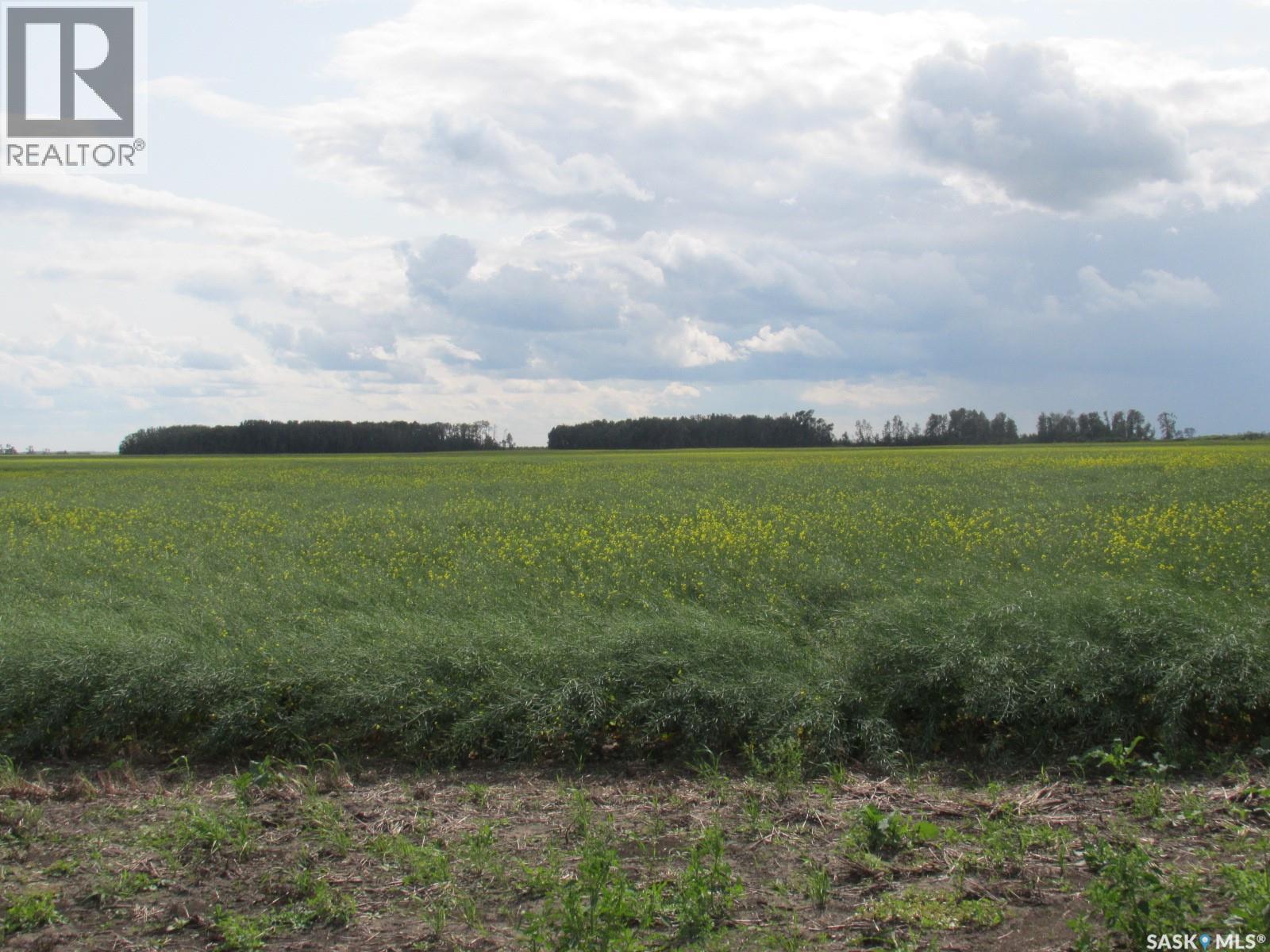 Land East Of Nipawin, Nipawin Rm No. 487, Saskatchewan  S0E 1E0 - Photo 41 - SK044687