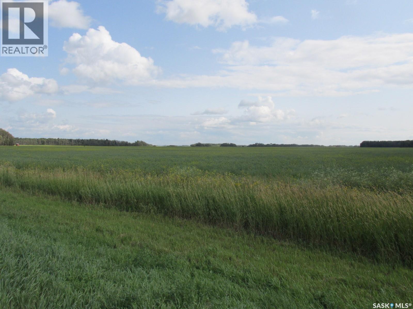 Land East Of Nipawin, Nipawin Rm No. 487, Saskatchewan  S0E 1E0 - Photo 38 - SK044687
