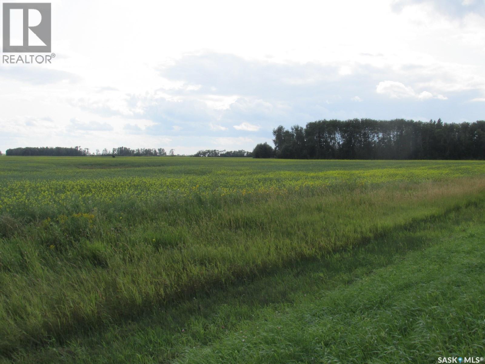 Land East Of Nipawin, Nipawin Rm No. 487, Saskatchewan  S0E 1E0 - Photo 39 - SK044687