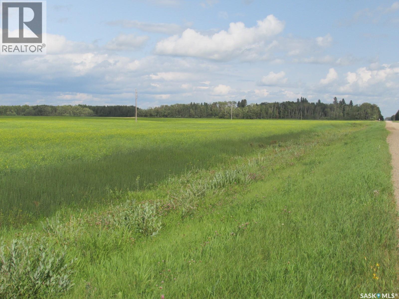 Land East Of Nipawin, Nipawin Rm No. 487, Saskatchewan  S0E 1E0 - Photo 23 - SK044687