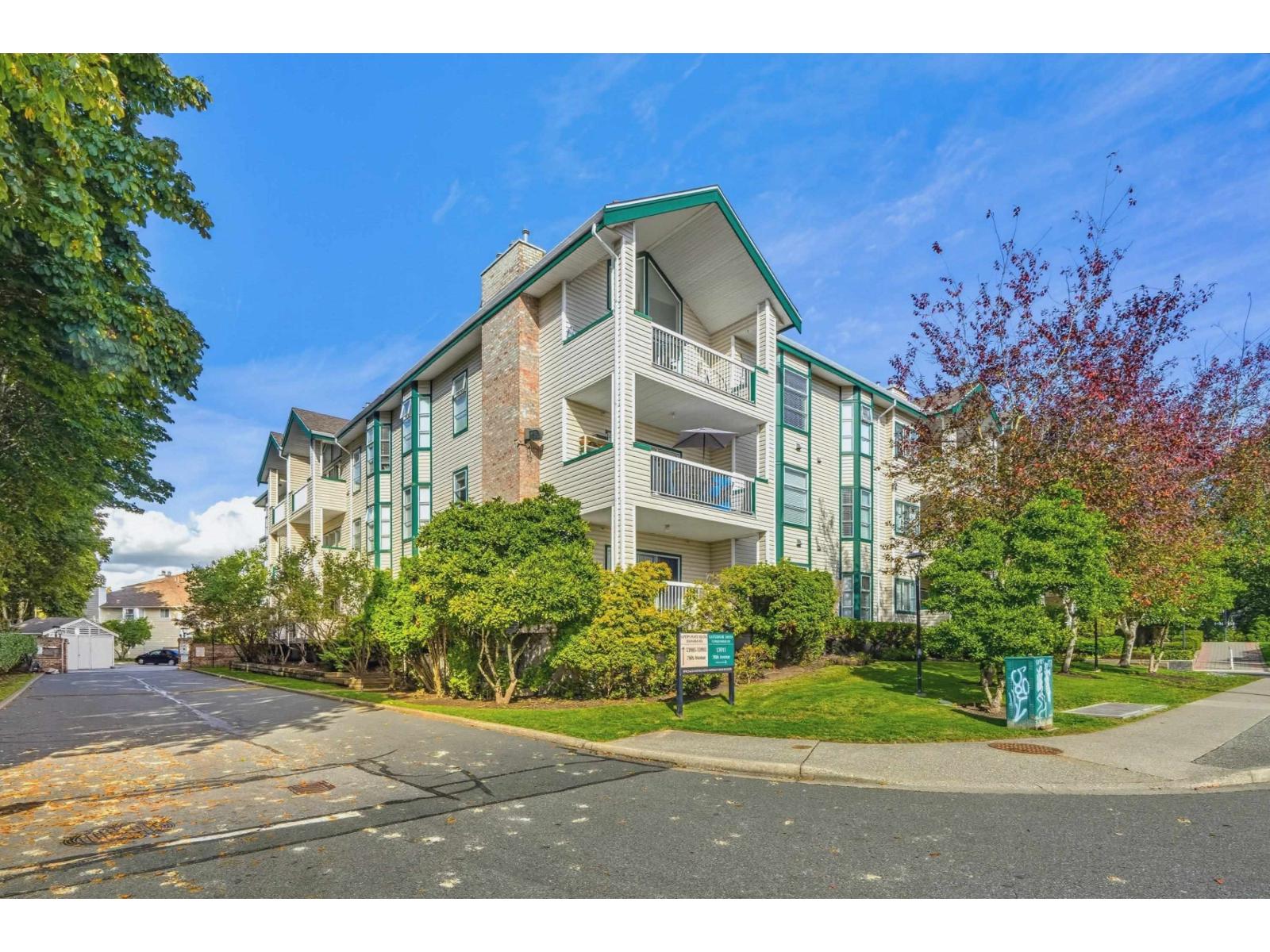 picture 0