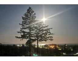 11880 CLARK DRIVE, Delta, British Columbia