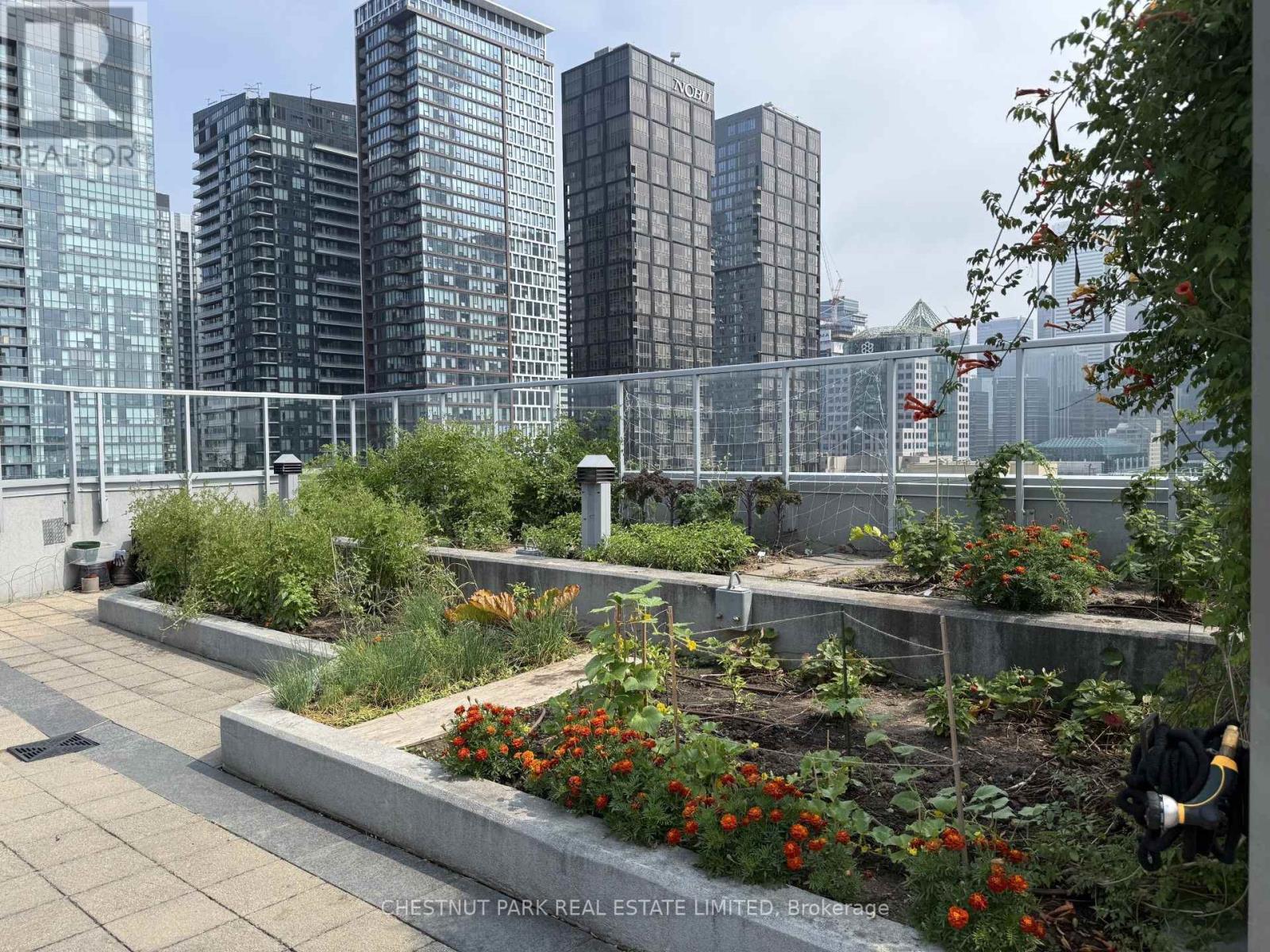 1711 - 352 Front Street E, Toronto, Ontario  M5V 0K3 - Photo 20 - C13642014