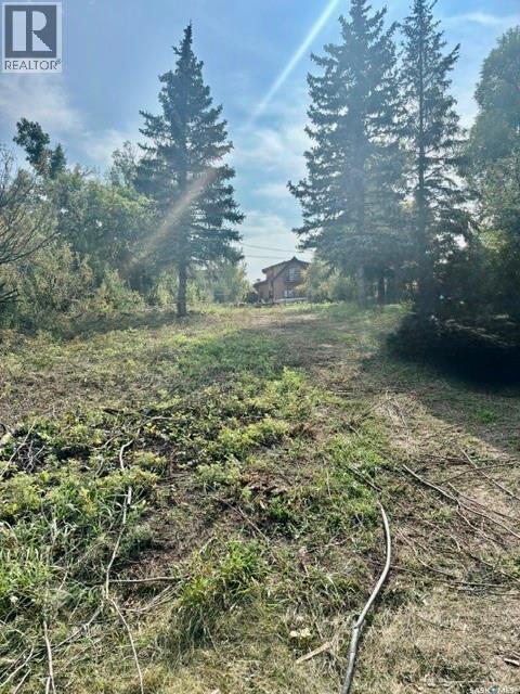 316 Evenson Avenue, Manitou Beach, Saskatchewan  S0K 4T1 - Photo 9 - SK044876