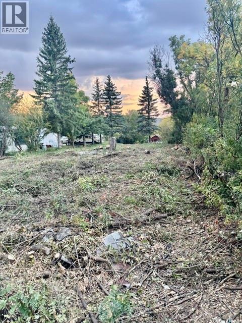 316 Evenson Avenue, Manitou Beach, Saskatchewan  S0K 4T1 - Photo 13 - SK044876
