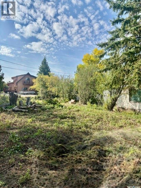 316 Evenson Avenue, Manitou Beach, Saskatchewan  S0K 4T1 - Photo 8 - SK044876