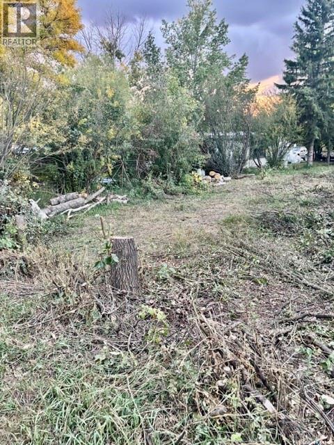 316 Evenson Avenue, Manitou Beach, Saskatchewan  S0K 4T1 - Photo 14 - SK044876