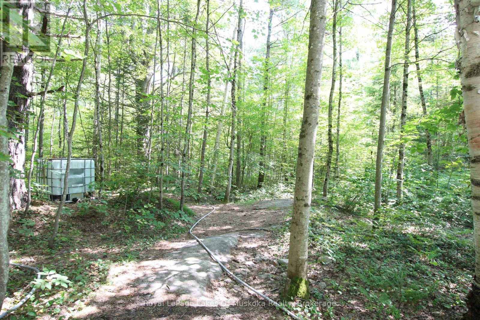 1101 Langford Road, Lake Of Bays, Ontario  P0B 1A0 - Photo 31 - X13625266