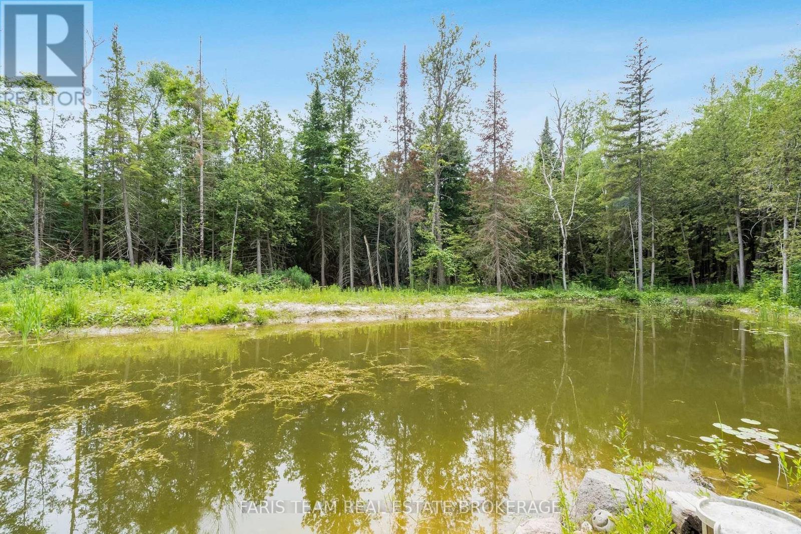 636 Harbour Street, Innisfil, Ontario  L0L 1K0 - Photo 40 - N13650608
