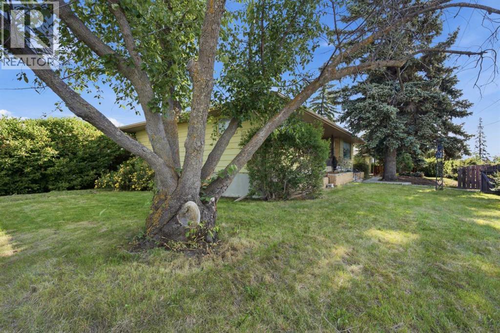 3720 Spruce Drive Sw, Calgary, Alberta  T3C 3A7 - Photo 34 - A2323310
