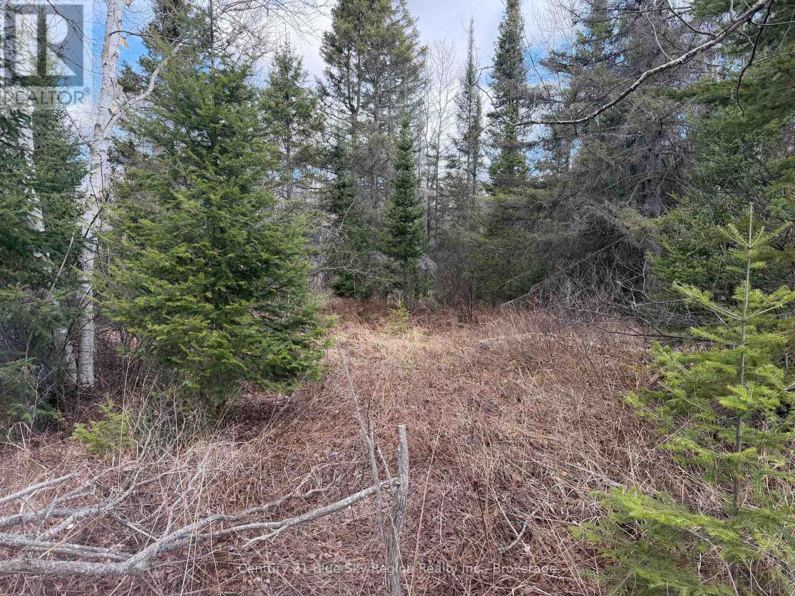 Lot 9 Part 1 Johnson Road, East Ferris, Ontario  P0H 1K0 - Photo 3 - X13663754