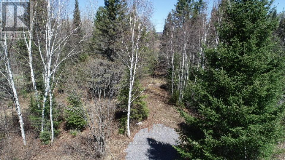 Lot 9 Part 1 Johnson Road, East Ferris, Ontario  P0H 1K0 - Photo 5 - X13663754