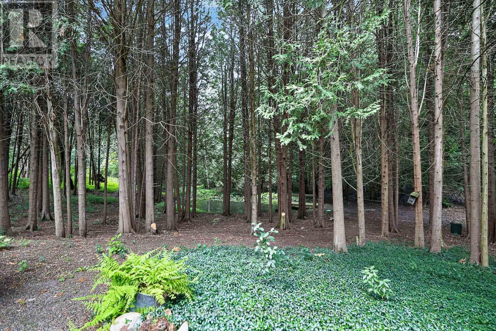 502 Townline Road, Scugog, Ontario  L0B 1A0 - Photo 33 - E13663722