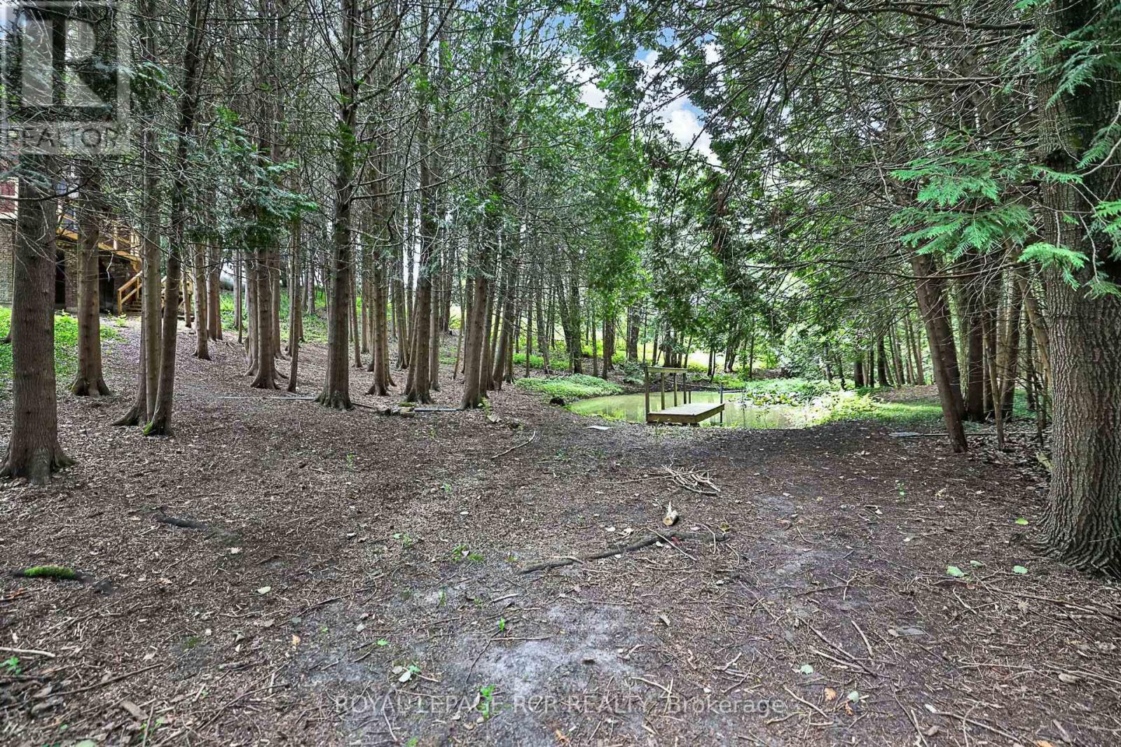 502 Townline Road, Scugog, Ontario  L0B 1A0 - Photo 35 - E13663722
