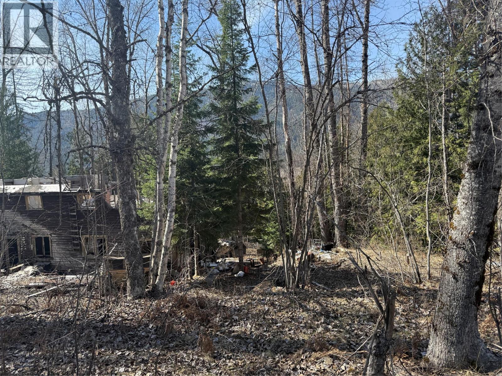 Vector Road Lot# 7, Salmo, British Columbia  V0G 1Z0 - Photo 6 - 10381169
