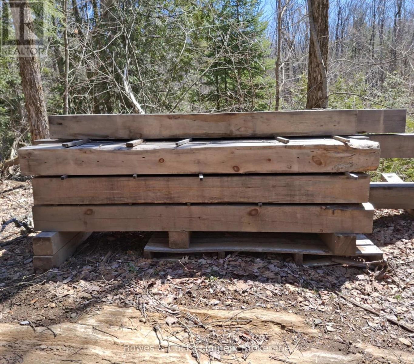 2018 Fortesque Lake Road, Highlands East, Ontario  K0M 1R0 - Photo 12 - X13663908